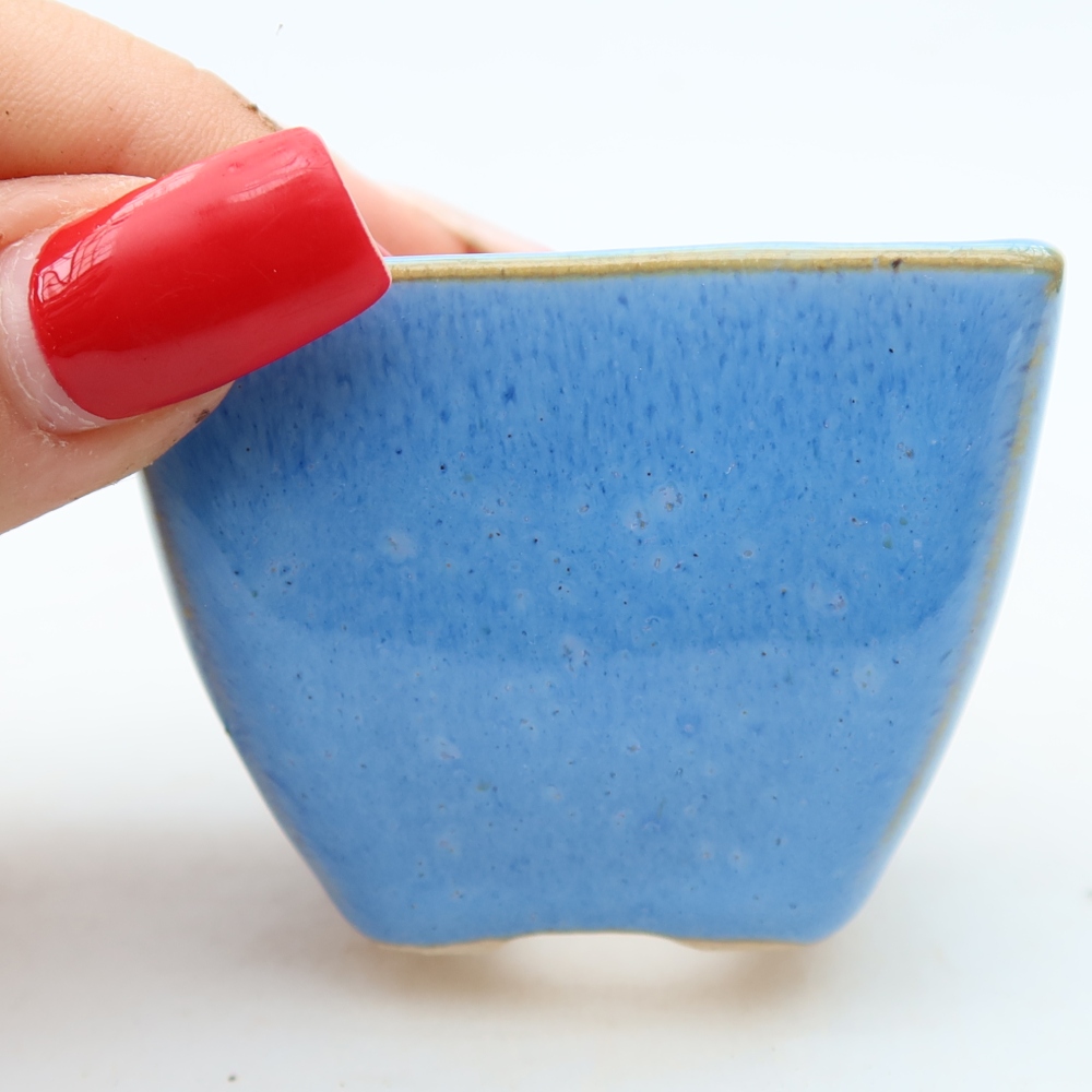 Ciotola bonsai in ceramica 5,5 x 5,5 x 4,5 cm, colore blu