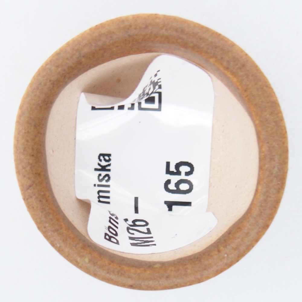 Ciotola per mini bonsai 4 x 4 x 2 cm, marrone