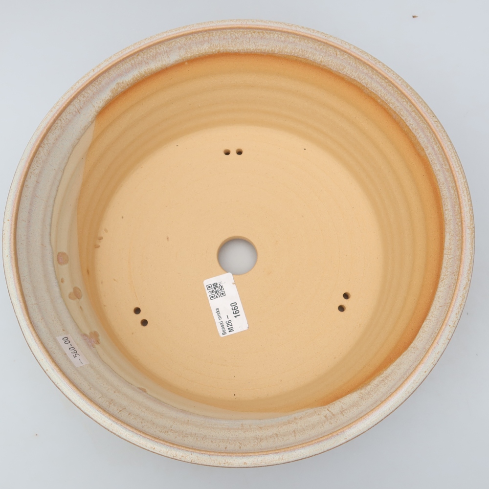 Vaso per bonsai in ceramica 27 x 27 x 8 cm, colore beige