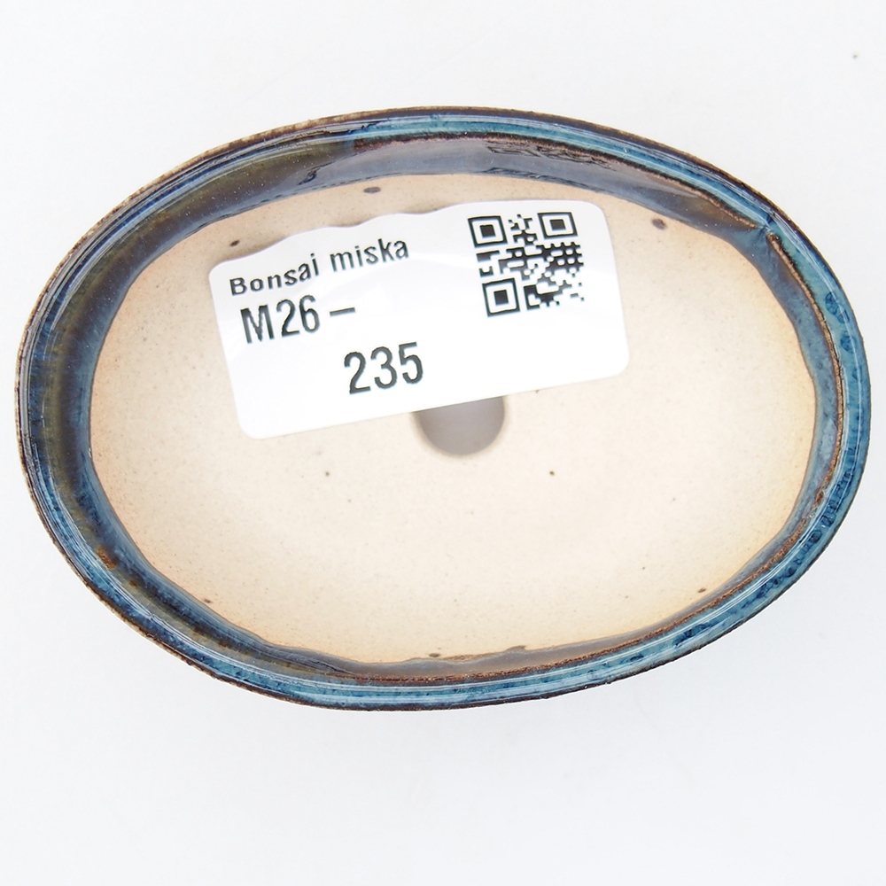 Mini bonsai 7,5 x 5 x 2,5 cm, colore blu