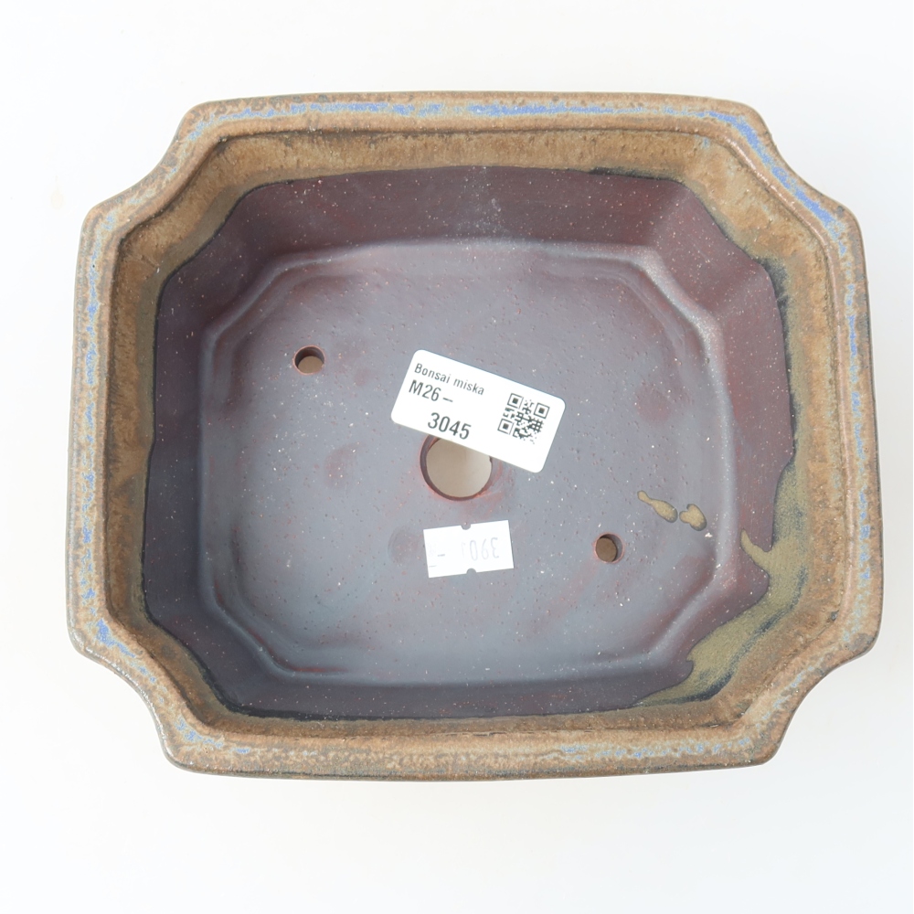 Vaso in ceramica per bonsai 18 x 15,5 x 6 cm, colore marrone