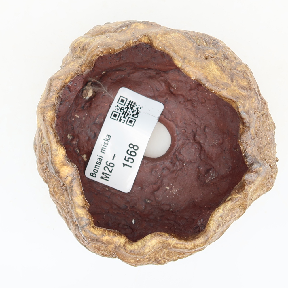Guscio in ceramica  6,5 x 5 x 6 cm , colore marrone