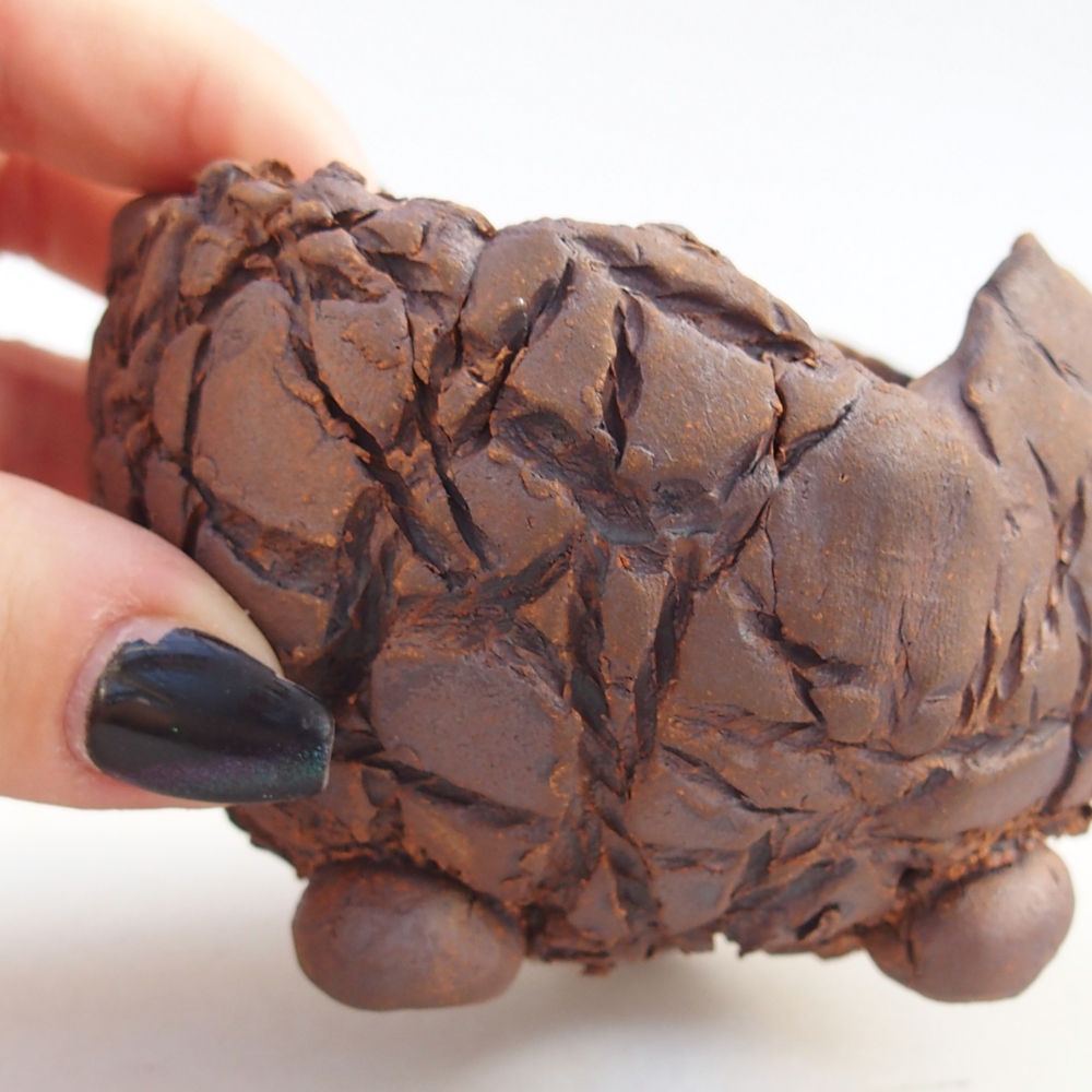 Conchiglia in ceramica 8,5 x 8,5 x 6 cm , colore marrone