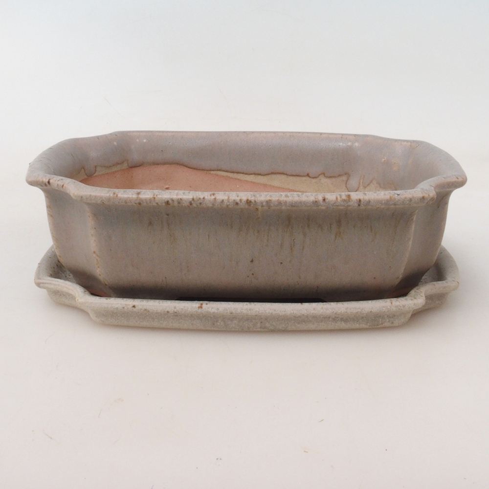 Ciotola bonsai + piattino H03 - 16,5 x 12 x 4,5 cm - beige