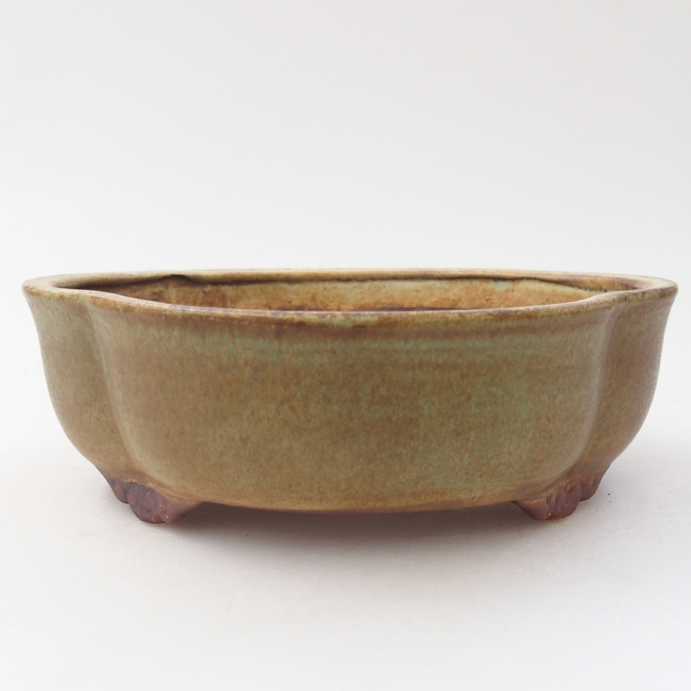 Ciotola per bonsai in ceramica 17 x 15 x 5,5 cm, verde