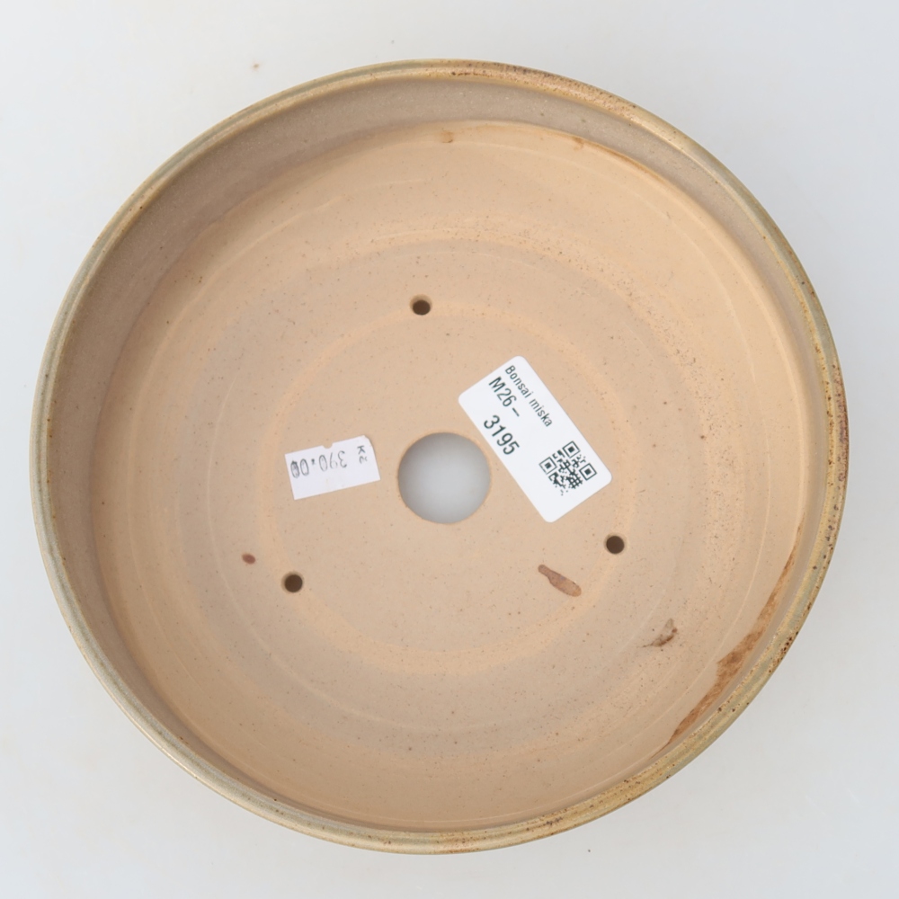 Vaso da bonsai in ceramica 17,5 x 17,5 x 6 cm, colore beige