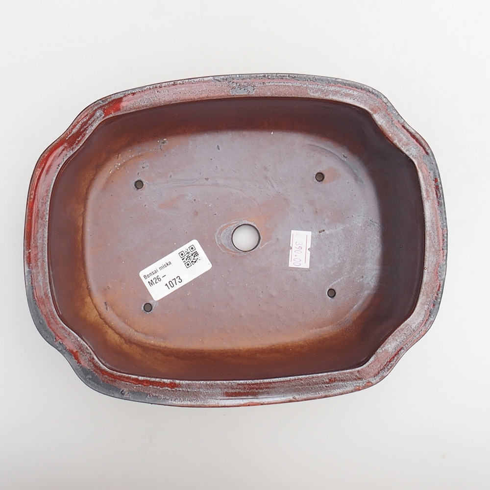 Ciotola per bonsai in ceramica 22 x 16,5 x 7 cm, colore rosso