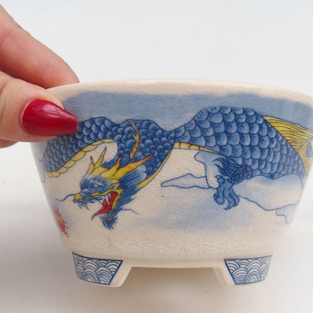 Ciotola bonsai in ceramica 12 x 12 x 6,5 cm, colore blu-bianco