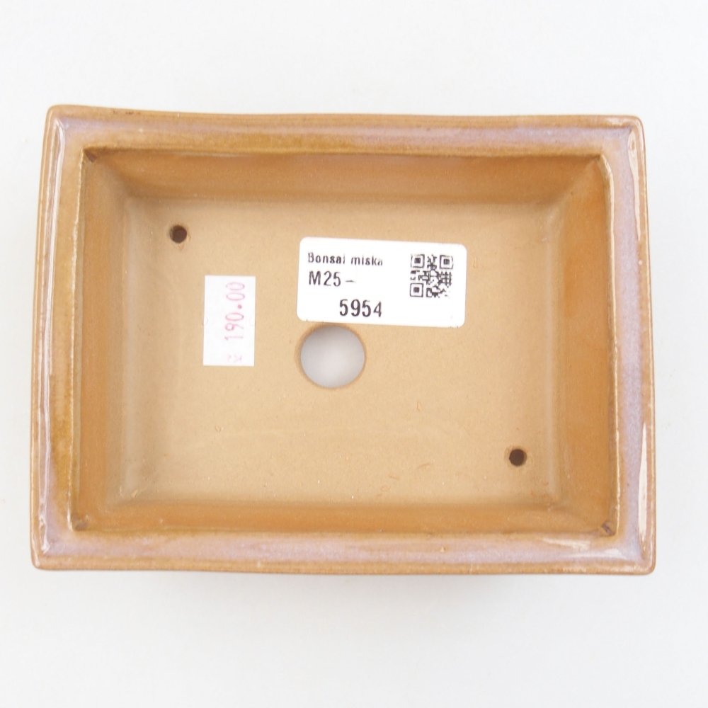 Ciotola bonsai in ceramica 22 x 17 x 5 cm, verde