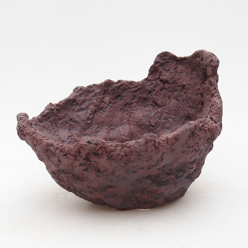 Conchiglia in ceramica 14 x 13 x 11,5 cm , colore marrone