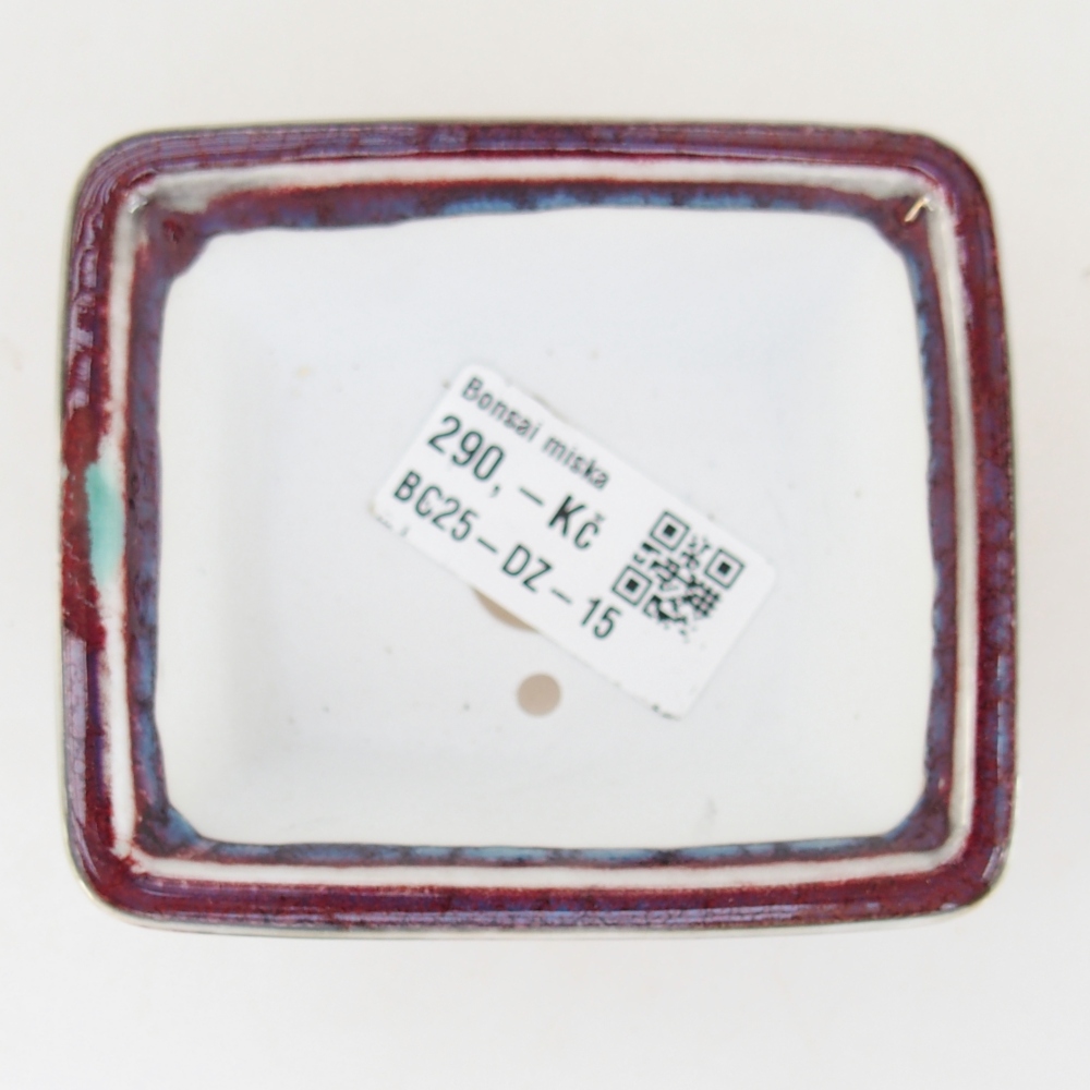 Mini bonsai 8,5 x 7,5 x 4 cm, bordeaux