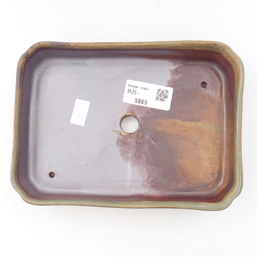 Ciotola bonsai in ceramica 22 x 17 x 5 cm, verde