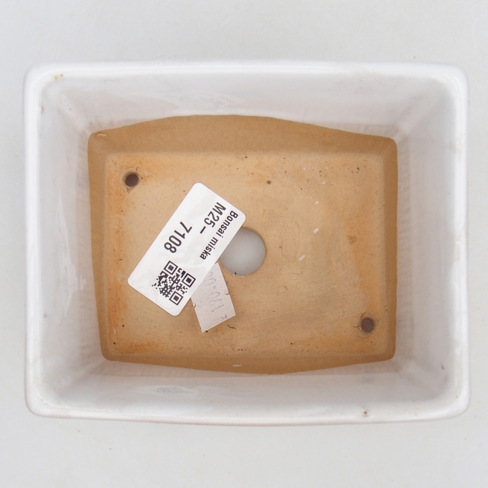 Ciotola bonsai in ceramica 26 x 26 x 8 cm, colore rosso