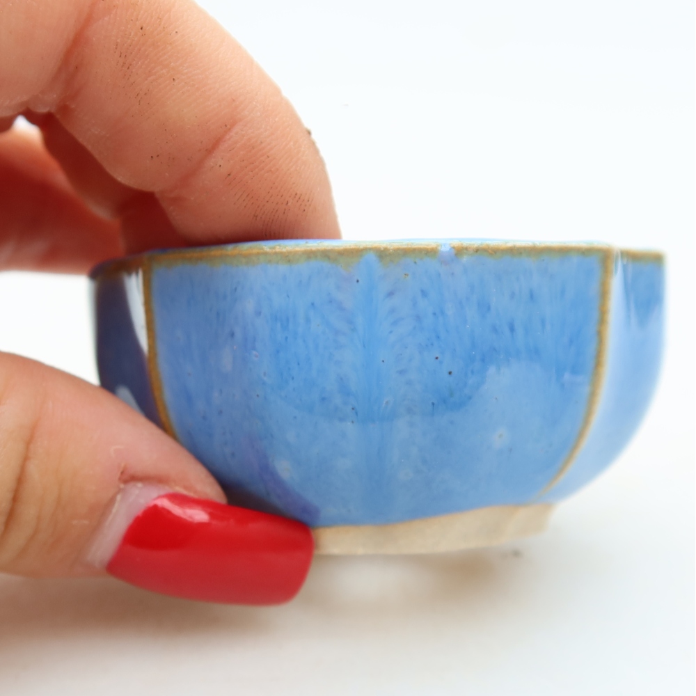Vaso da bonsai in ceramica 5,5 x 5,5 x 3 cm, colore blu