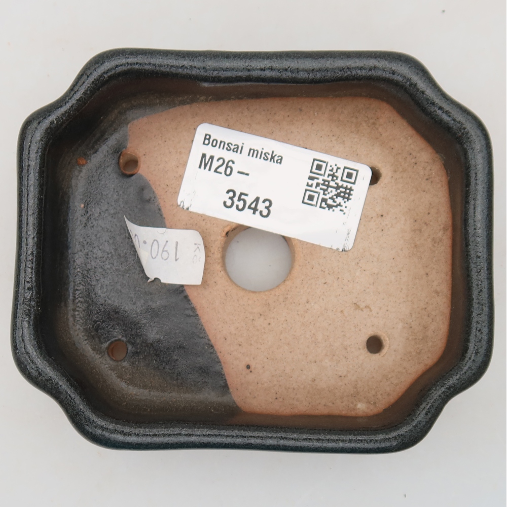 Vaso in ceramica per bonsai 10 x 8 x 2,5 cm, colore grigio