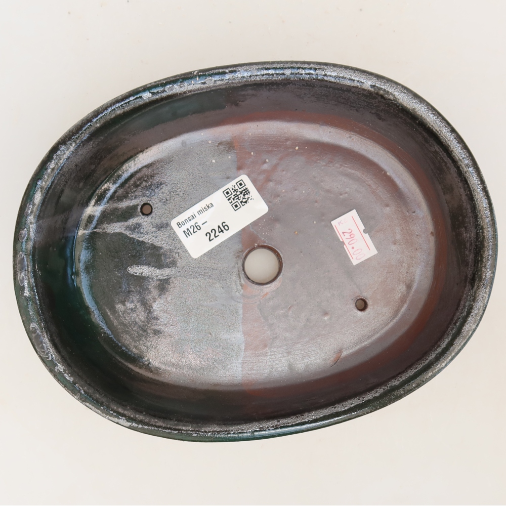 Vaso da bonsai in ceramica 19 x 14,5 x 5 cm, colore verde