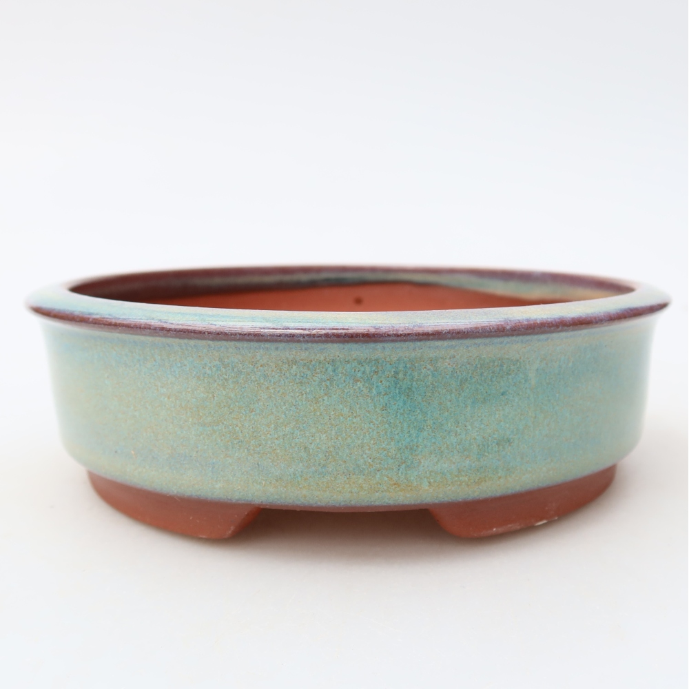 Ciotola per bonsai in ceramica 15 x 15 x 4,5 cm, verde