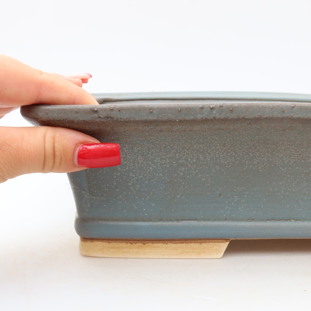 Vaso in ceramica per bonsai 29,5 x 24 x 8 cm, colore blu