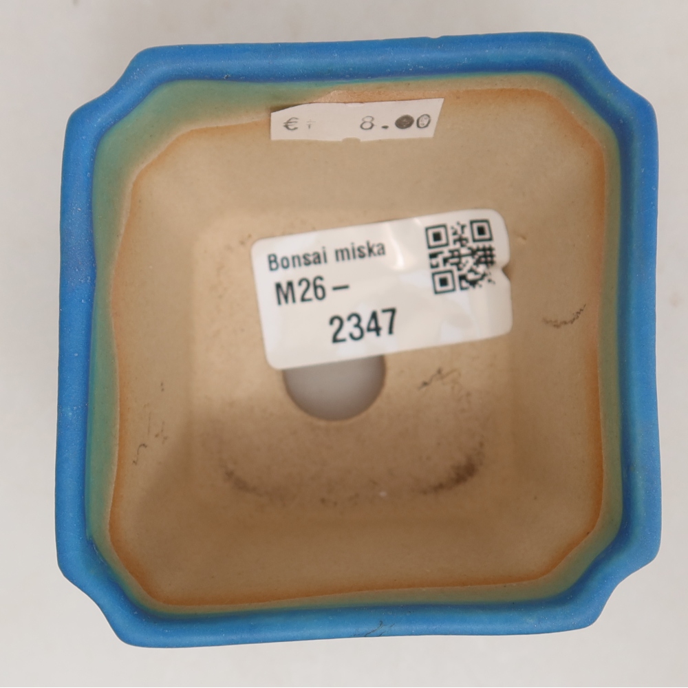Vaso da bonsai in ceramica 7 x 7 x 5,5 cm, colore blu