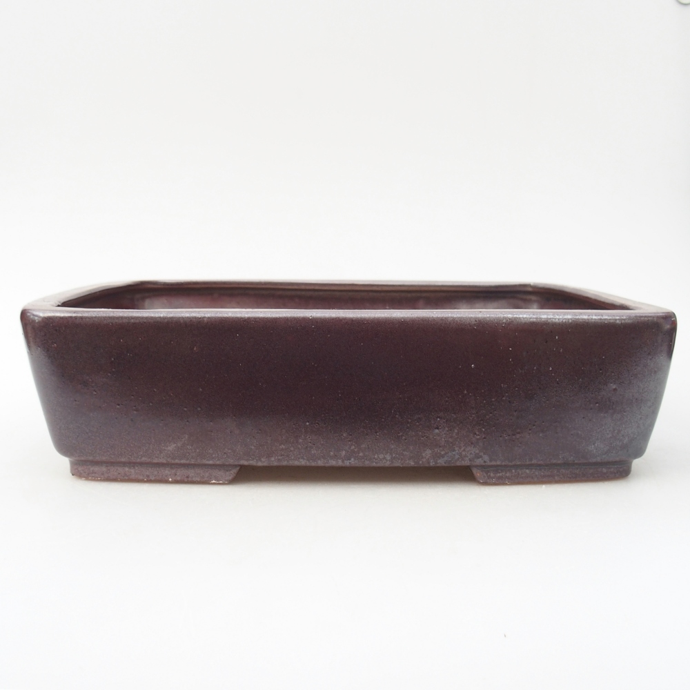 Ciotola bonsai in ceramica 26,5 x 20,5 x 6,5 cm, bordeaux