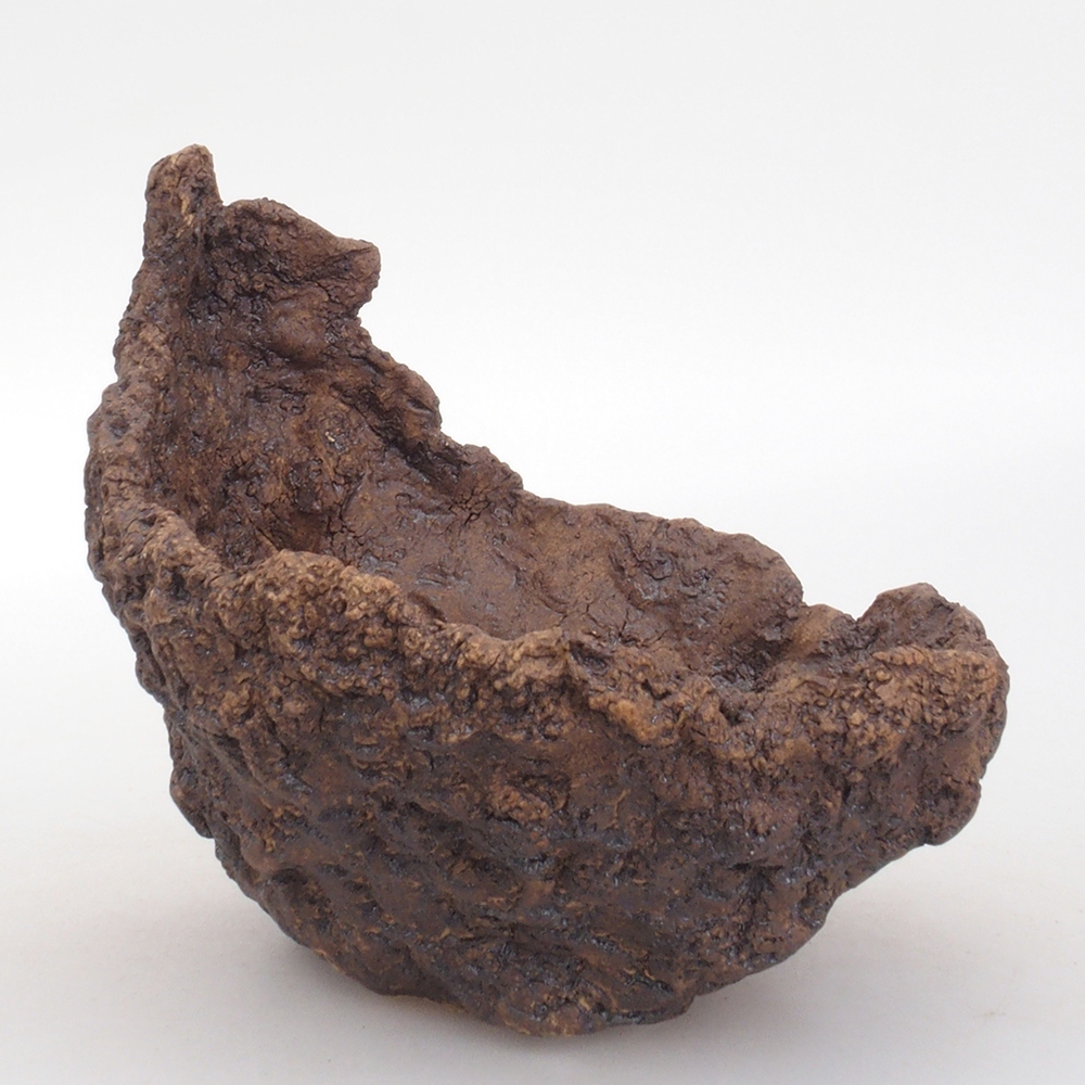 Conchiglia in ceramica 13,5 x 12 x 13,5 cm , colore marrone