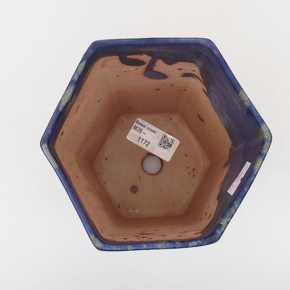 Ciotola bonsai in ceramica 13 x 11,5 x 17 cm, colore blu