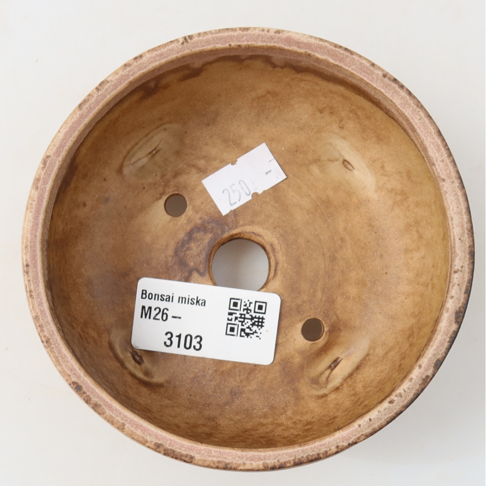 Vaso in ceramica per bonsai 10,5 x 10,5 x 4 cm, colore rosa