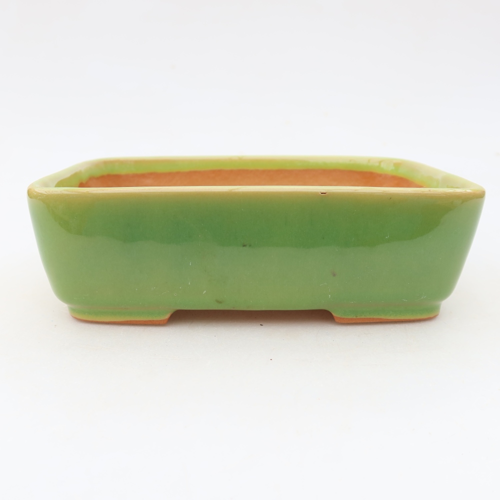 Ciotola per bonsai in ceramica 15 x 12,5 x 4,5 cm, verde