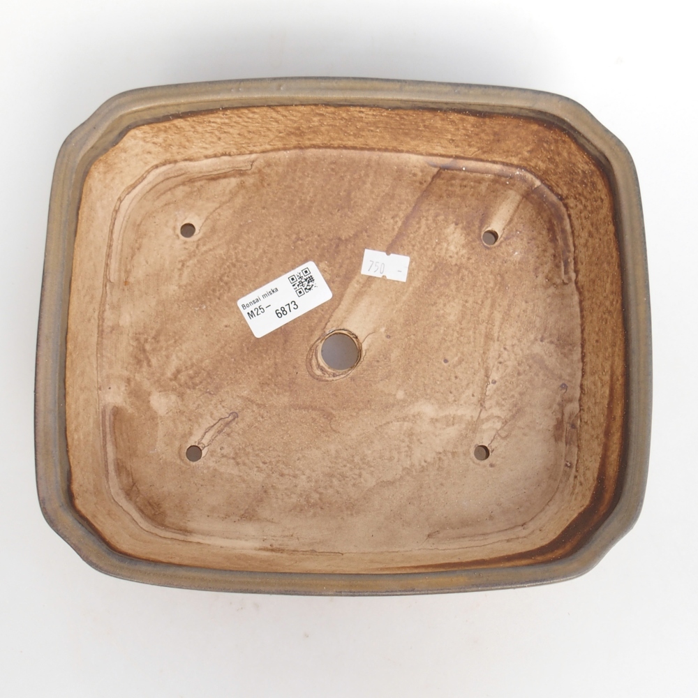 Ciotola per bonsai in ceramica 25 x 21,5 x 6,5 cm, marrone