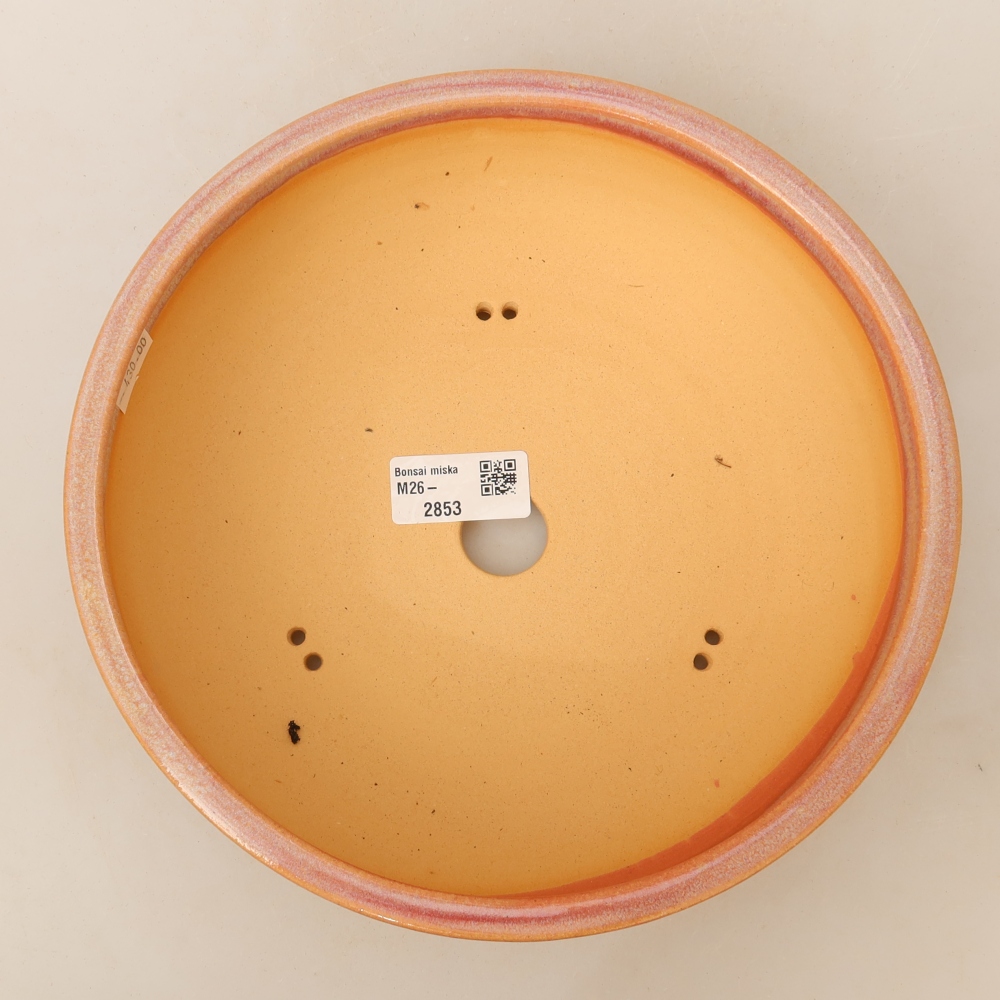 Vaso da bonsai in ceramica 22,5 x 22,5 x 7 cm, colore rosa