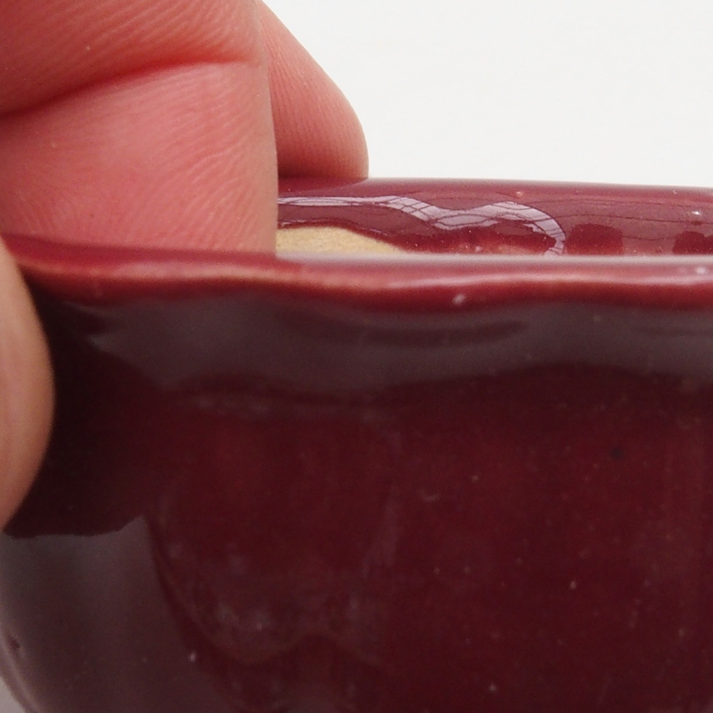 Ciotola per mini bonsai 6,5 x 6,5 x 3,5 cm, bordeaux