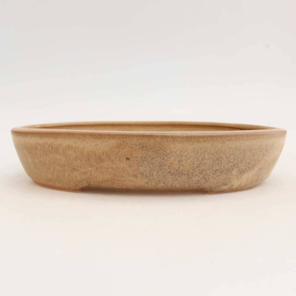 Ciotola bonsai in ceramica 22 x 17 x 4 cm, colore beige