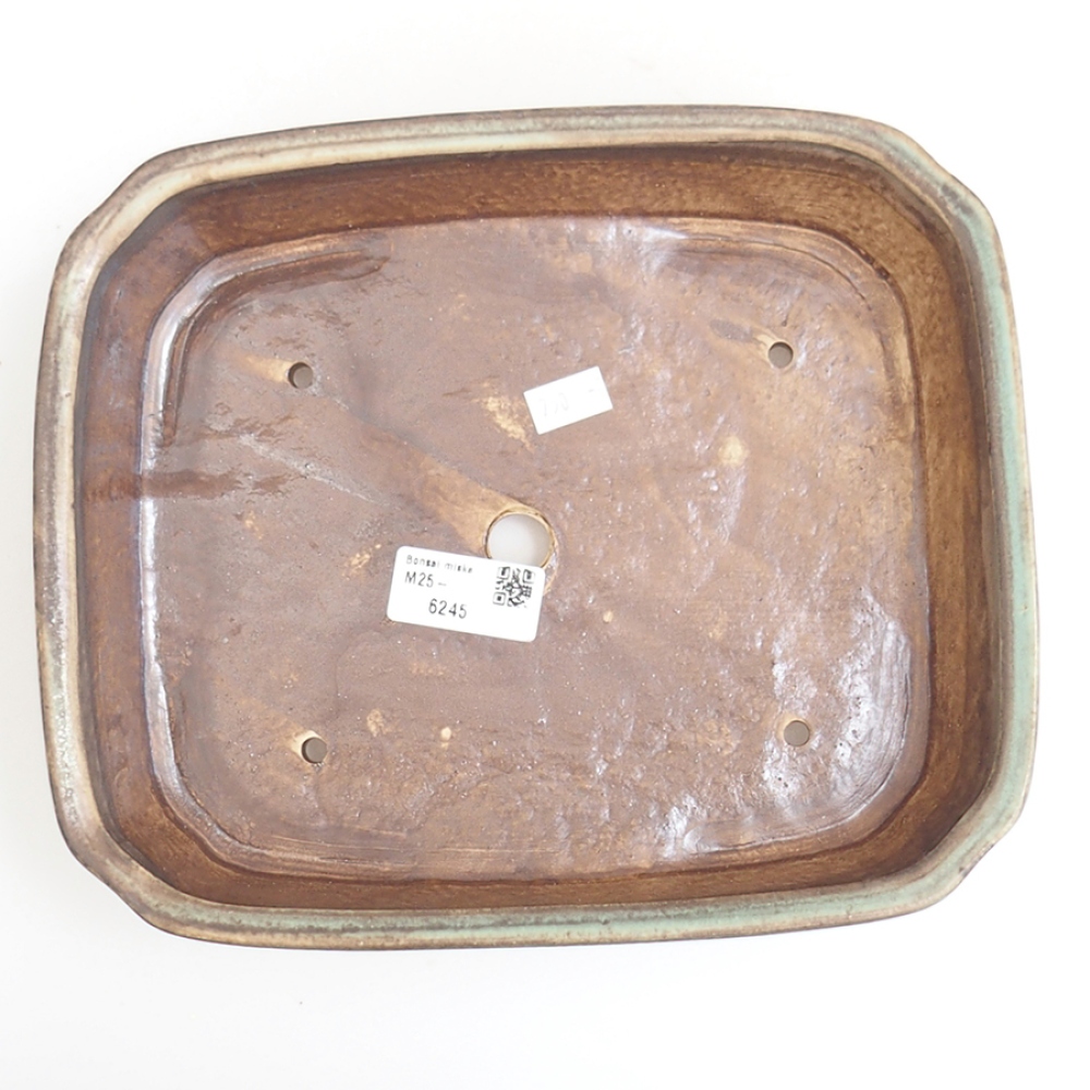 Ciotola per bonsai in ceramica 24 x 20,5 x 6 cm, verde