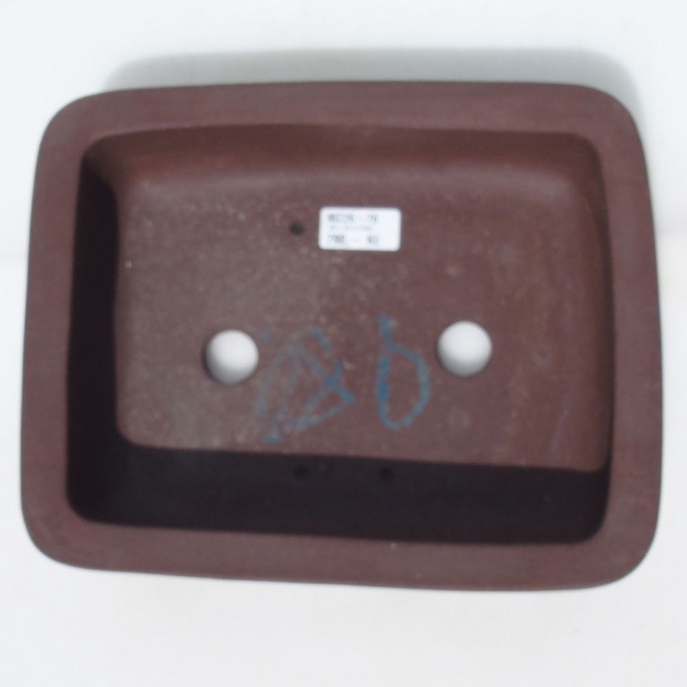 Ciotola per bonsai 30 x 24 x 7,5 cm betulla marrone