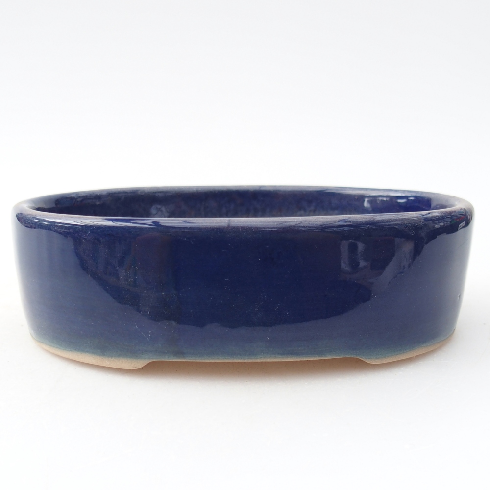 Ciotola per bonsai in ceramica 12,5 x 10 x 3,5 cm, colore blu
