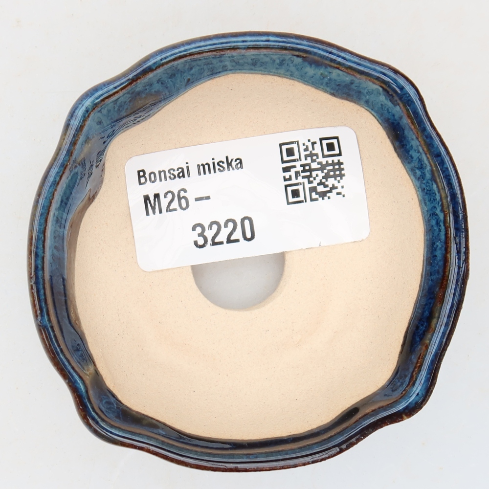 Vaso da bonsai in ceramica 6,5 x 6,5 x 2,5 cm, colore blu