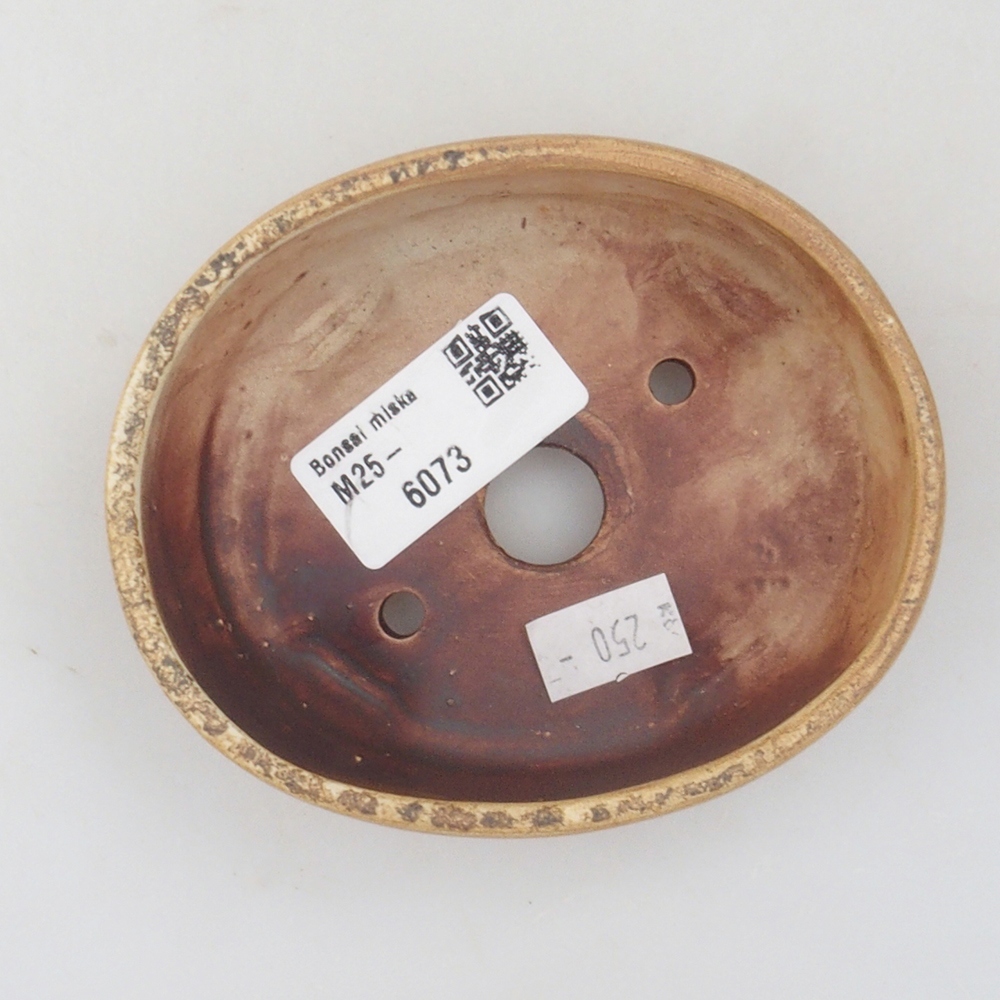 Ciotola per bonsai in ceramica 10 x 8,5 x 4 cm, marrone