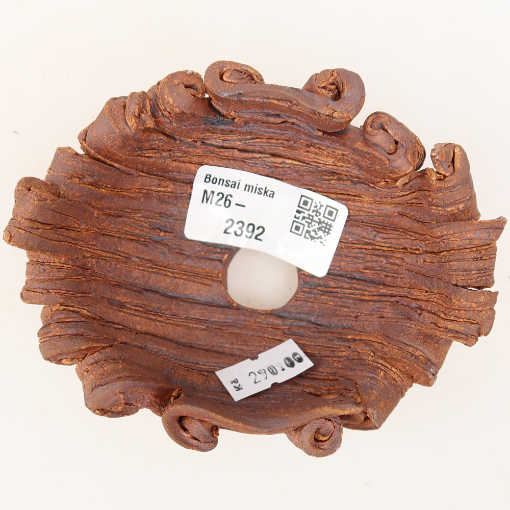 Guscio in ceramica  11 x 8,5 x 5 cm, colore marrone