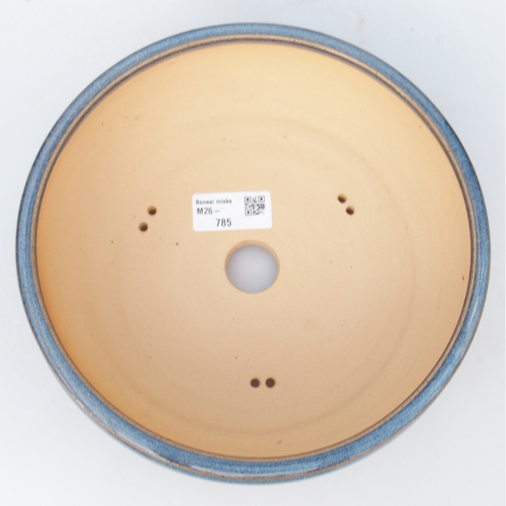 Ciotola per bonsai in ceramica 20,5 x 20,5 x 7 cm, colore blu