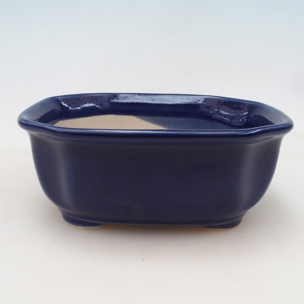 Ciotola bonsai + piattino H31 - blu