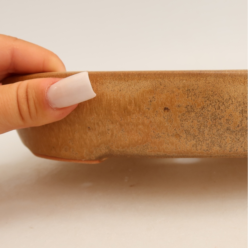 Ciotola bonsai in ceramica 22 x 17 x 4 cm, colore beige