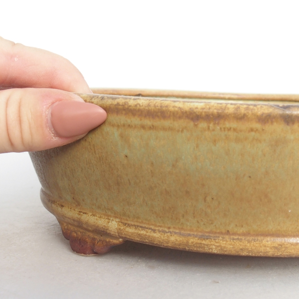 Ciotola bonsai in ceramica 21 x 21 x 6 cm, verde