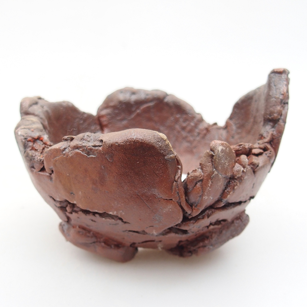 Conchiglia in ceramica 10 x 9 x 7 cm , colore marrone