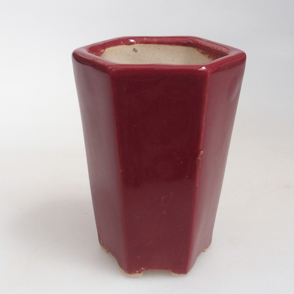 Ciotola per mini bonsai 4,5 x 4 x 6 cm, bordeaux