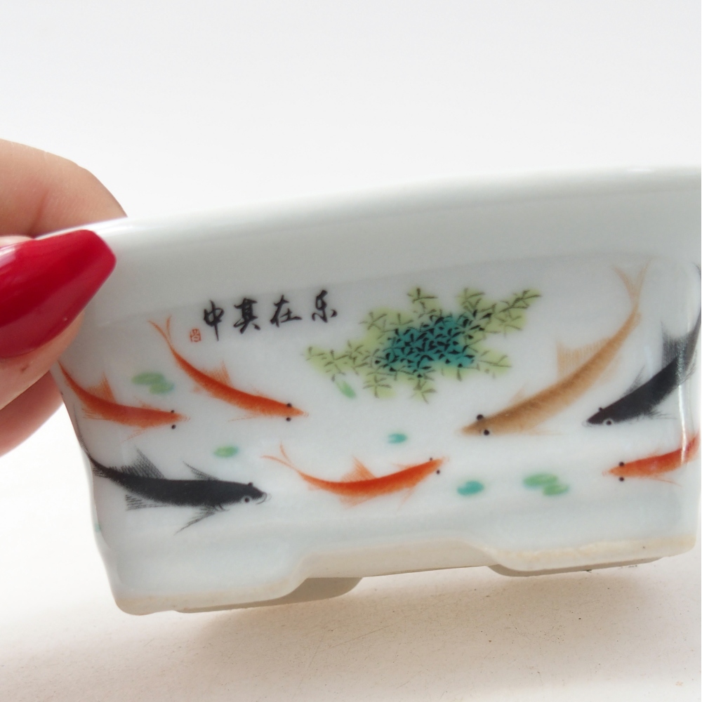 Mini bonsai 10 x 7,5 x 4 cm, colore bianco