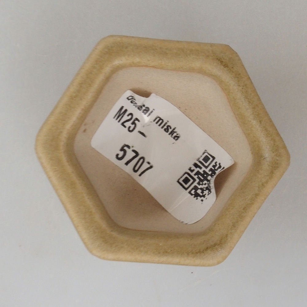 Ciotola per mini bonsai 5 x 4,5 x 3 cm, marrone