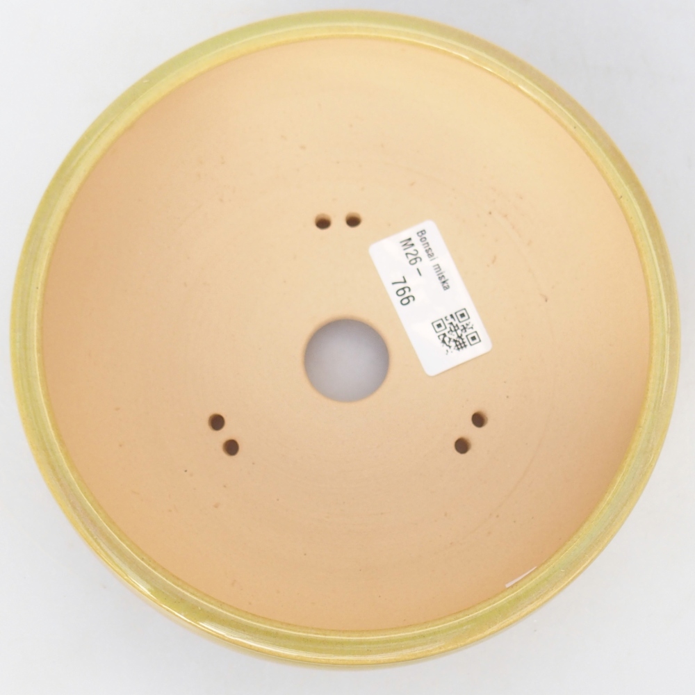 Ciotola per bonsai in ceramica 15,5 x 15,5 x 5,5 cm, giallo-verde