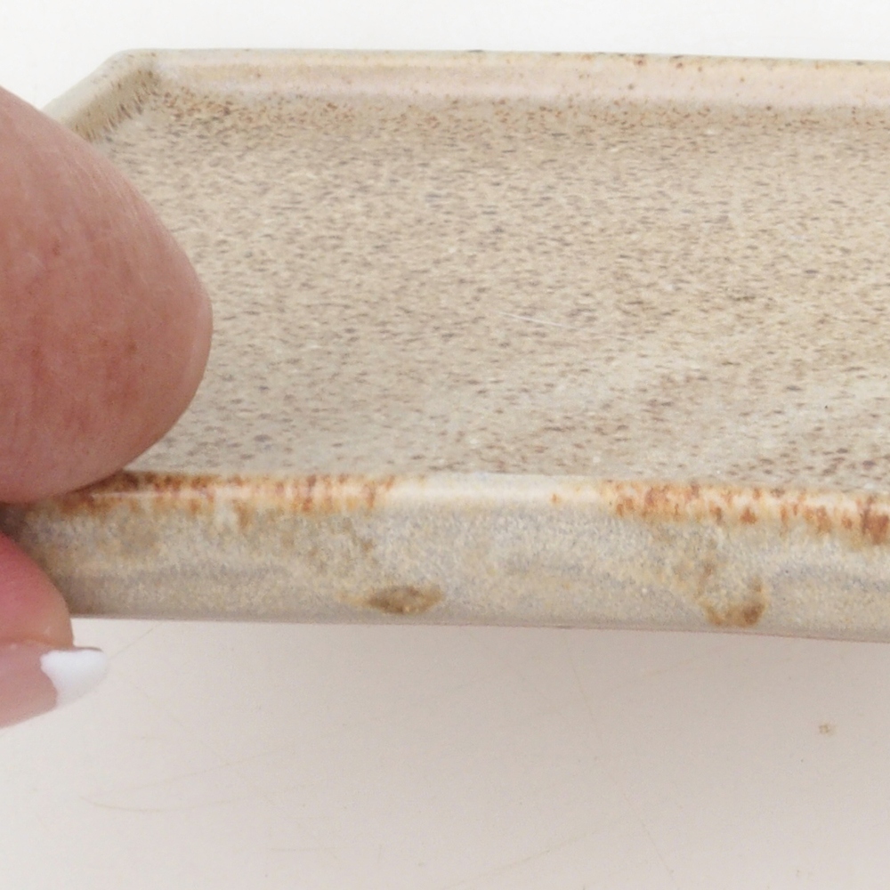 Ciotola bonsai quadrata L - 14 x 14 x 1 cm - beige