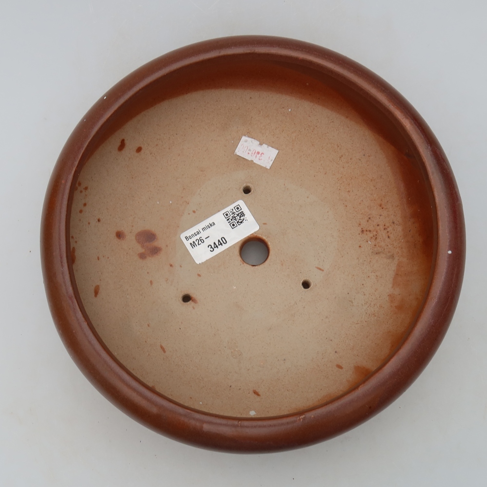 Vaso da bonsai in ceramica 20 x 20 x 7,5 cm, colore bordeaux