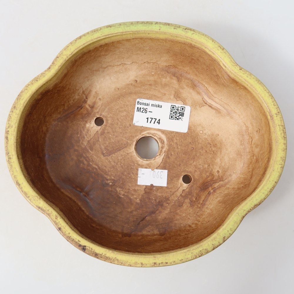 Vaso da bonsai in ceramica 17,5 x 15,5 x 5,5 cm, colore giallo